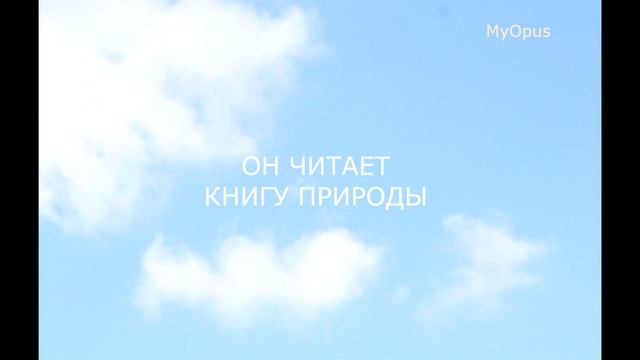 Путь к свободе Глава 6. Часть 25. ОН УЖЕ НА УРОВНЕ ИНТУИЦИИ (окончание). ОН ЧИТАЕТ КНИГУ ПРИРОДЫ смотреть онлайн