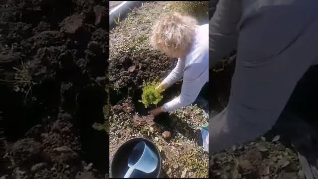 Ребята не только рыбачить но и отдыхать у родных и близких потому жизнь всего одна смотреть онлайн