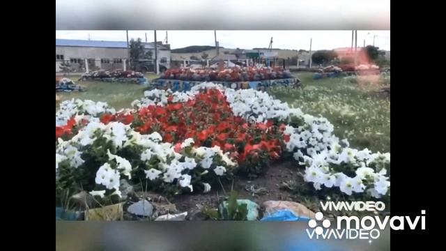 Школа лицей № 21 "Самая зеленая организация образования " смотреть онлайн