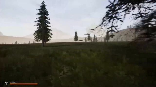 ЧЕГО ЖДАТЬ В НОВЫХ ОБНОВЛЕНИЯХ | Mist Survival