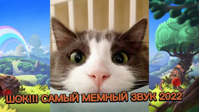 ШОК!!!🤯🤯🤯 САМЫЙ МЕМНЫЙ ЗВУК 2022, Я ЛЮБЛЮ КОГДА...🧈🧈🧈 смотреть онлайн