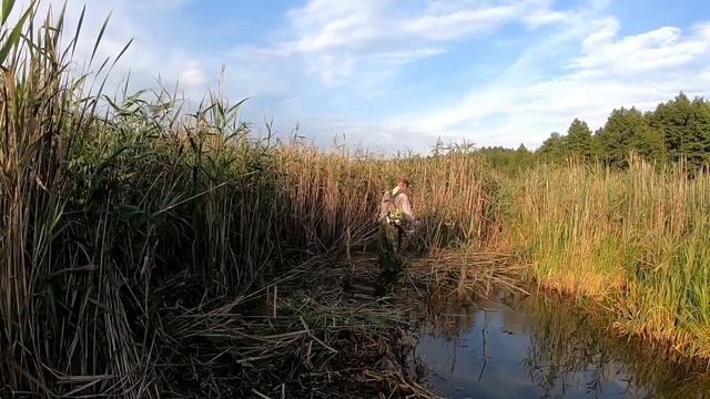 Кошу болото - озеро в болоте своими руками 5 смотреть онлайн