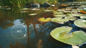 Прибывающая вода. 1, 2, 3 и 4 неделя. Медитация Джо Диспенза. Сила подсознания. #аюмедитэйшн