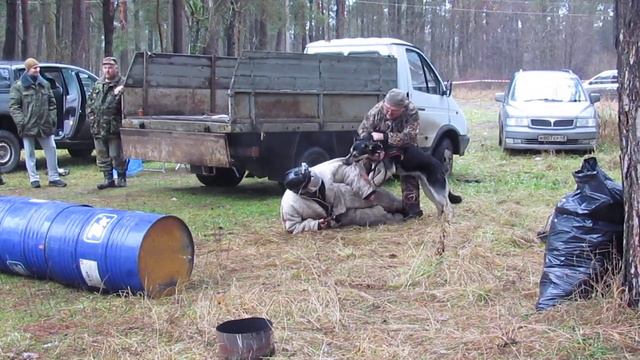 Хельхаус Риззо 1 год 4 месяца дрессировка в Торжке с А.Гончаровым, пуск ... смотреть онлайн