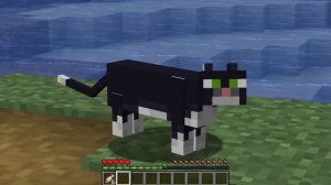 Майнкрафт но Я СТАЛА ПОМОЩНИКОМ КОТОМ