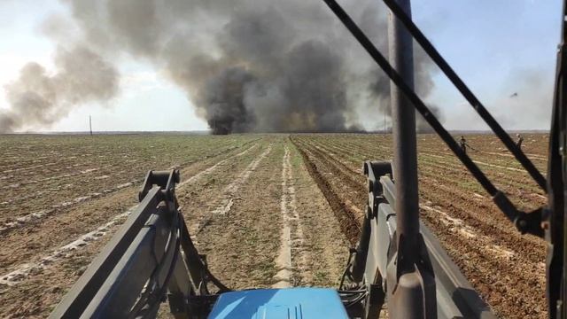 Посадка перца дыни и бакложана смотреть онлайн