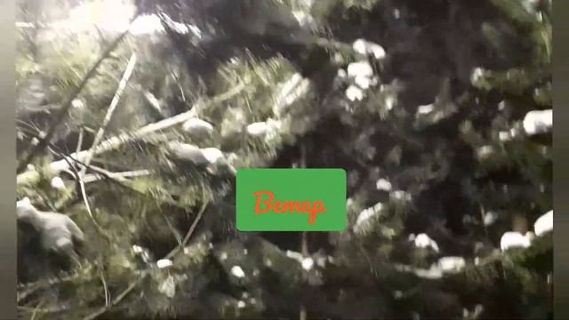 Барнаул. Метель. 8 января. смотреть онлайн