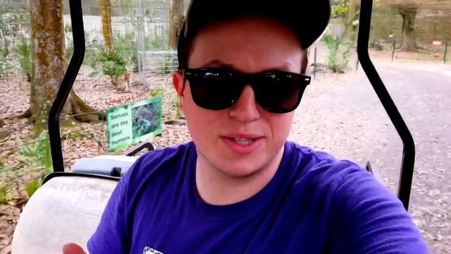 CRAZY CARACAL NOISE!! (NEW CAMERA) - Big Cat Rescue смотреть онлайн
