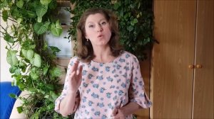 Самая лучшая многолетняя лиана. Что посадить вдоль забора?