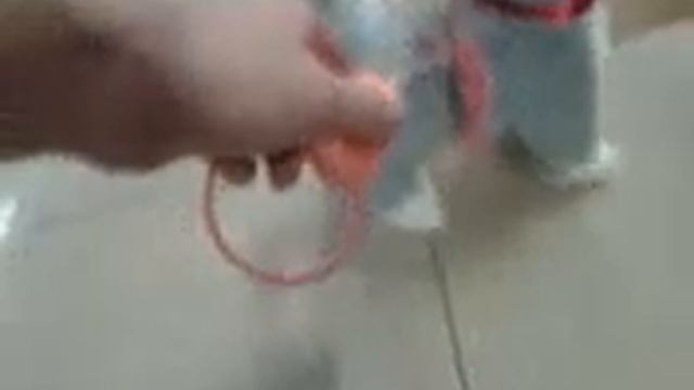 Серый котенок смотреть онлайн