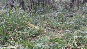 ВЕЗДЕХОД ТРИЦИКЛ/САМОДЕЛЬНЫЙ КАРАКАТ