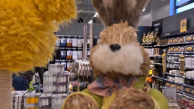 ВОТ ТАК ЗАШЛИ .... 27. 02. 2024