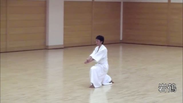 新体道空手【太極 大・岩鶴】Shintaido Karate смотреть онлайн