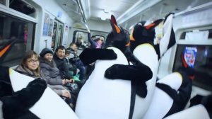 Пингвины Айрн Брю в городе!