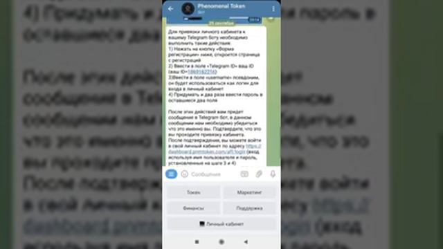 Подключение личного кабинета через телеграм бот Phenomenal смотреть онлайн