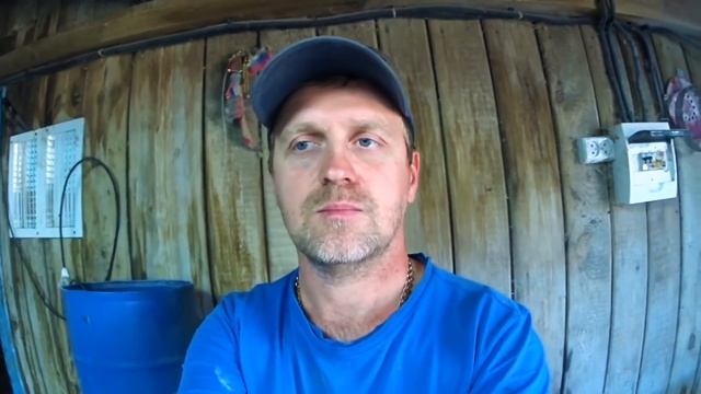 Моё традиционное кормление свиней смотреть онлайн