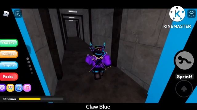 How to get ALL 20 NEW RAINBOW FRIENDS MORPHS in Rainbow Friends Morphs [40] (ROBLOX) смотреть онлайн