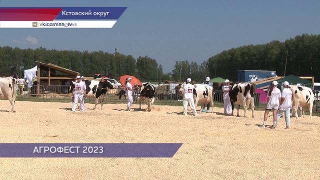 Традиционный праздник сельхозпроизводителей «Агрофест 2023» стартовал в Кстовском округе смотреть онлайн