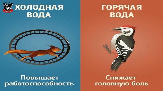 9 Отличий Горячей Воды от Холодной/Большая Банка смотреть онлайн