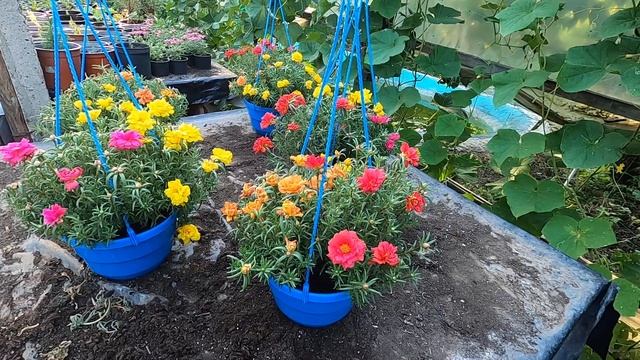 СтройКосмос