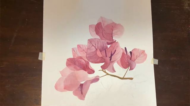 Bougainvillea Flower Watercolor Painting