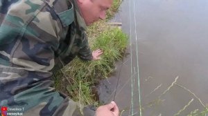 Раки в своём пруду на дачном участке. Запускаем раков в свой пруд. Раки скушали лягушку?