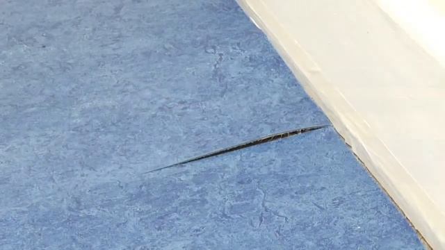 Натуральный линолеум Forbo укладка плитки