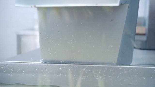 Vegetable Cutter Machine Potato Chips Slicer Friut Cheese Cutter For Commercial Zica ZLC-300 смотреть онлайн