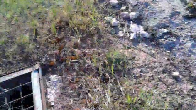 Какая гадость течёт по трубам ТОАЗа? Качество воды в Волге от этого лучше не становится.