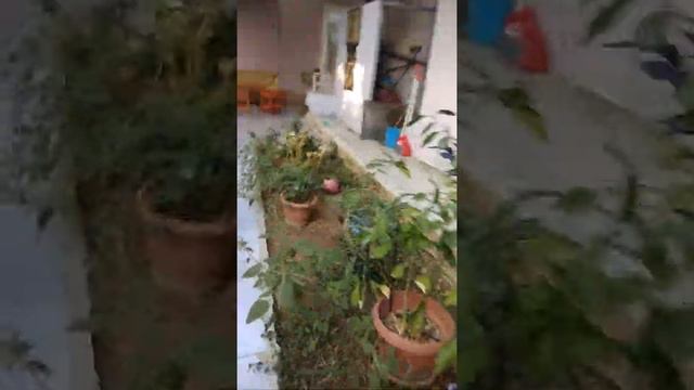 Обзор отеля 3* Rosella Apart & Hotel