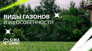 Всё о газоне: виды и особенности