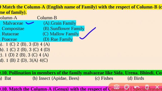 Multiple choice questions related to cotton family/Malvaceae. смотреть онлайн