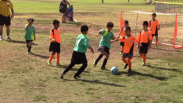 Green Warriors vs. The Punishers - 2017 AYSO region 60 U8 смотреть онлайн