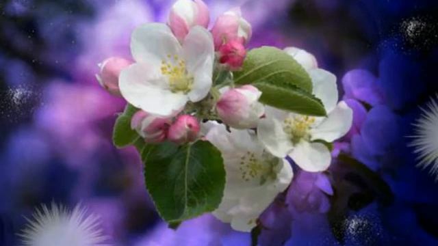 27.04.2021г. Полнолуние. Кровавое Суперлуние. Карта дня. смотреть онлайн