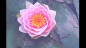 Благость и любовь , Невероятно красивая Мантра Любви и нежности, исполнения желаний  Творит чудеса!