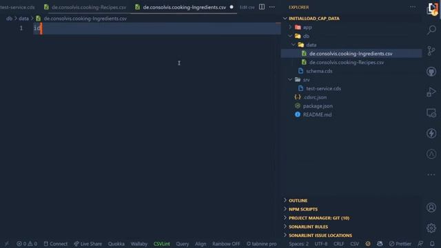 How to load initial data in a SAP CAP application смотреть онлайн