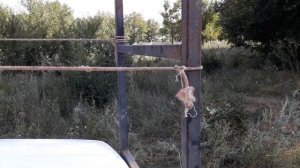 Как легко на легковой машине можно перевести 6 метровые доски и арматуру