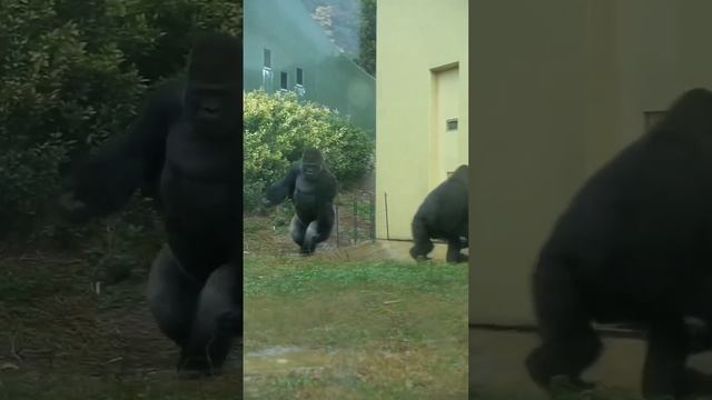А это мы с коллегами уходим домой пораньше? смотреть онлайн