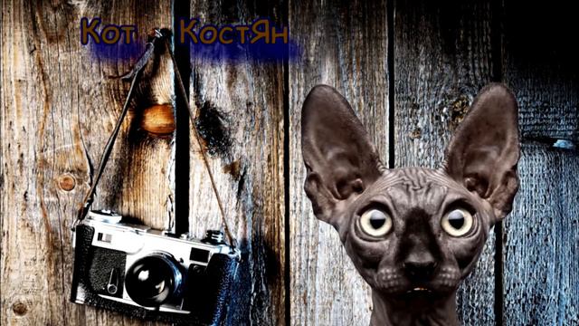 Верните Всё Как Было (Кот костян) смотреть онлайн