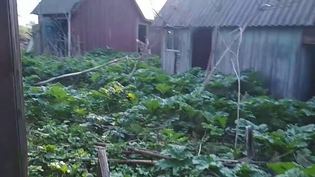 Продается дом в деревне Бутово смотреть онлайн
