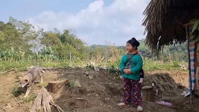 Single Mother: Harvesting Sugarcane To Sell - Cooking With Relatives.