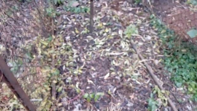 ?Тайна раскрыта ?Сколько живёт плодородие в земле? смотреть онлайн