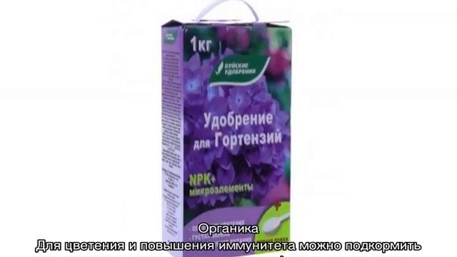 Как подкислить почву для гортензии — способы и пропорции смотреть онлайн