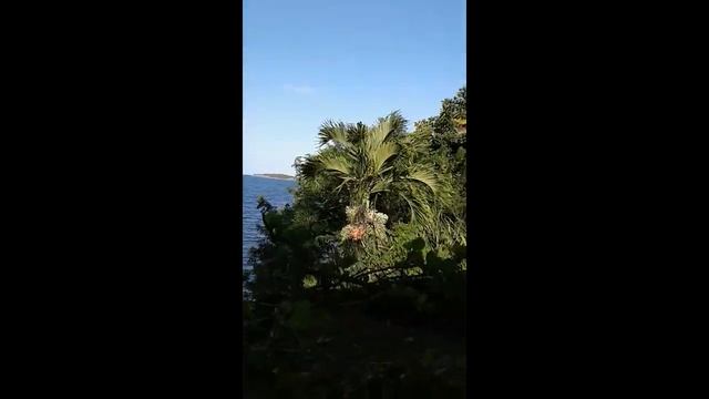 vue sur la mer смотреть онлайн