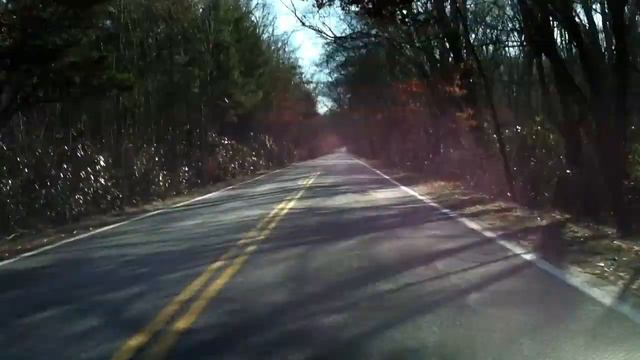 Rhododendron maximum in Rhode Island смотреть онлайн