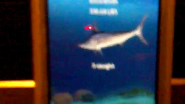 Flick fishing смотреть онлайн