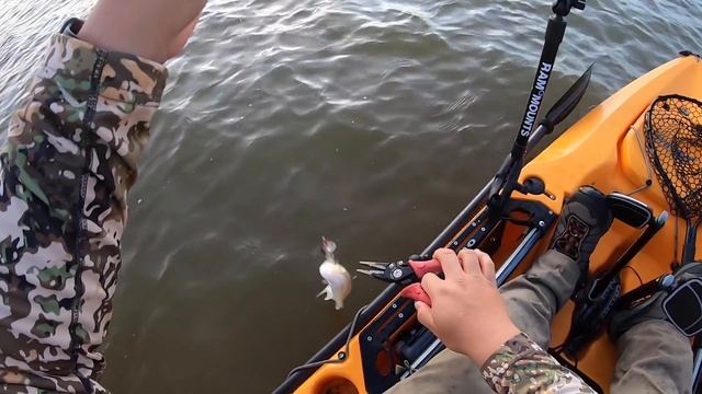 Exploring Narrow Ditches for Giant Game Fish {Daiwa Steez A TW HLC} смотреть онлайн