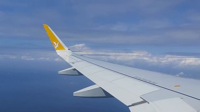 Approach & Landing At Istanbul Sabiha Gokcen Airport смотреть онлайн