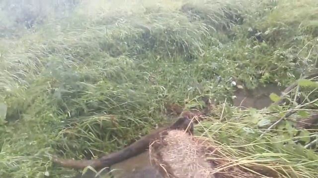 Кольчугинский район Плотина после урагана смотреть онлайн