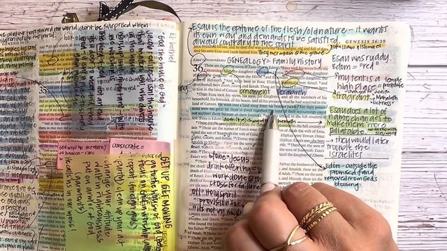 Study the Bible in One Year: Day 24 Genesis 35-38 | Bible study for beginners смотреть онлайн